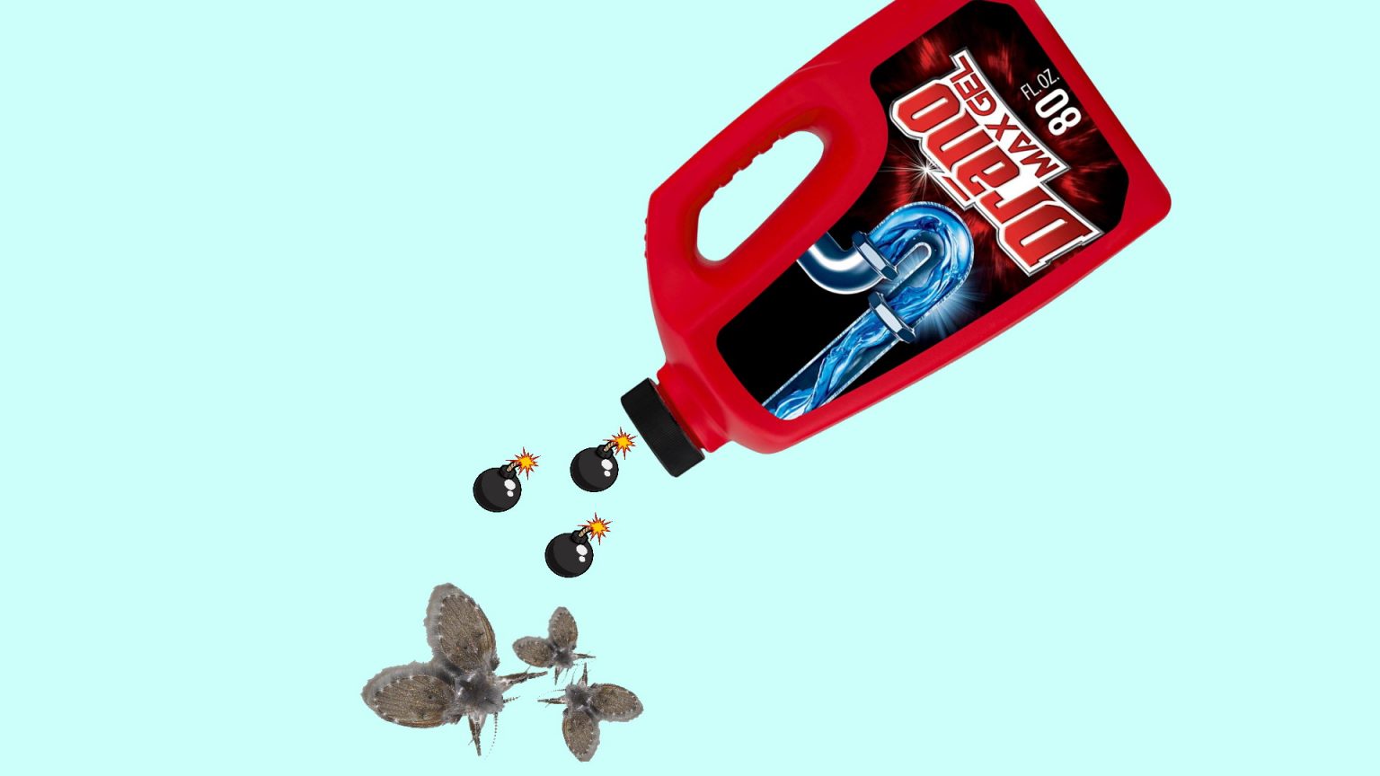 Will Drano Kill Drain Flies   Drano For Drain Flies 1536x864 