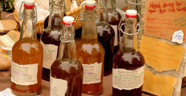 apple cider vinegar to get rid of drain flies