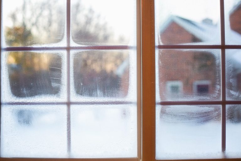 drain flies die in winter if you see the cold season's signs on the window