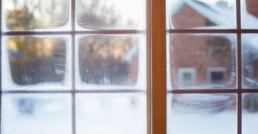drain flies die in winter if you see the cold season's signs on the window