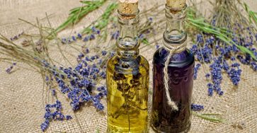 natural oils to deter drain flies