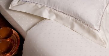 bed bugs in a mattress
