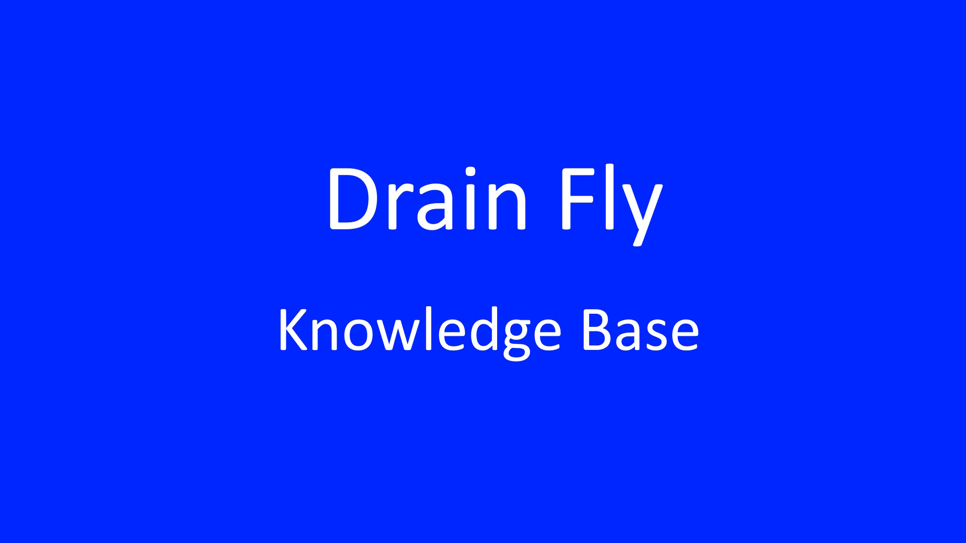 Does pouring bleach down the drain get rid of drain flies?